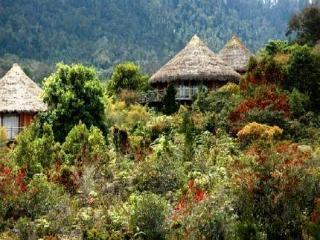 Baliem Valley Resort Wamena Exterior foto